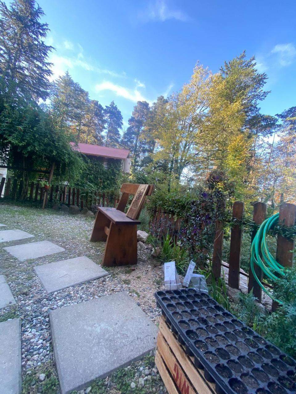Bed and Breakfast Casa Raiz Cumbrecita La Cumbrecita Zewnętrze zdjęcie